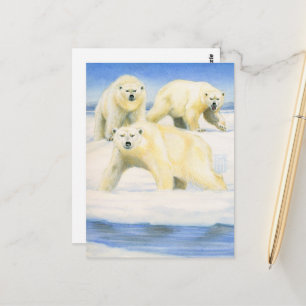 Polar Bears Postkarte