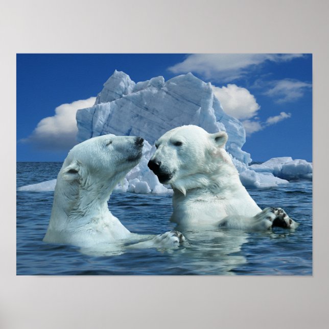 Polar Bears spielen in Poster des Artischen Ozeans (Vorne)