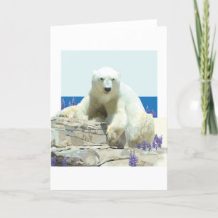 Polar Bear's Spring Grußkarte Karte