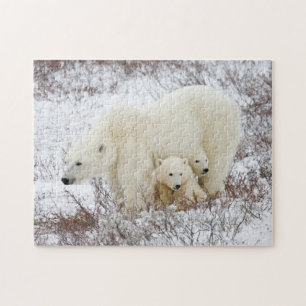 Polar Bears weiblich und zwei Jungen Puzzle