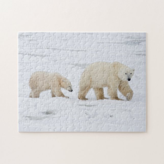 Polar Bears weiblich und zwei Jungen Puzzle (Horizontal)