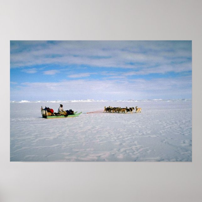 Polar Eskimo, Grönland Poster (Vorne)