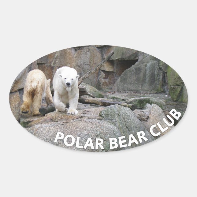 POLAR-KARTENkleber Ovaler Aufkleber (Vorderseite)