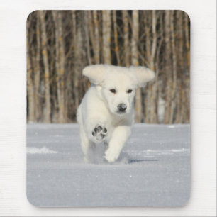 Polar Puppy Foto Mousepad