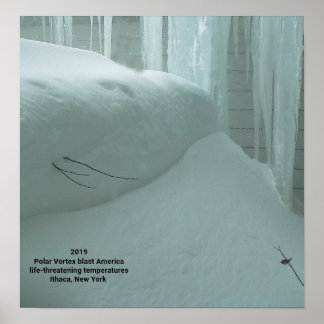 POLAR VORTEX HITS ITHACA NEW YORK 2019 POSTER
