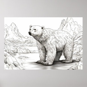 Polarbär Friedliche Natur Prärie Sketch Zeichnend Poster