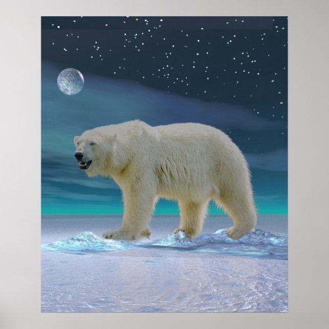 Polarbär im Mondlicht Poster (Vorne)