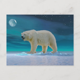 Polarbär im Mondlicht Postkarte
