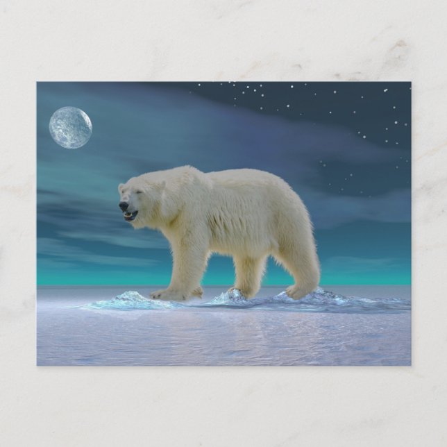 Polarbär im Mondlicht Postkarte (Vorderseite)