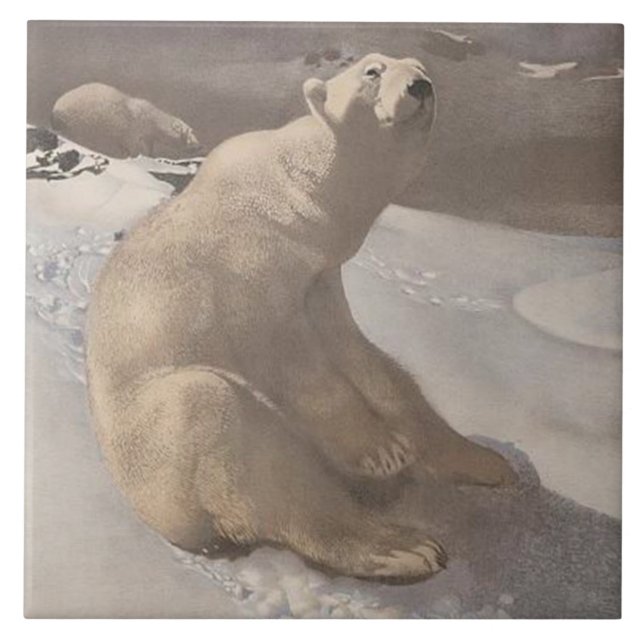 Polarbär in schneeweißer Vintager Darstellung grau Fliese (Vorderseite)