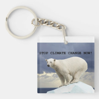 Polarbär stoppt den Klimawandel jetzt! Schlüsselanhänger