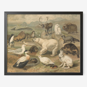 Polarbär und Arktische Tierfreunde Vintag Poster