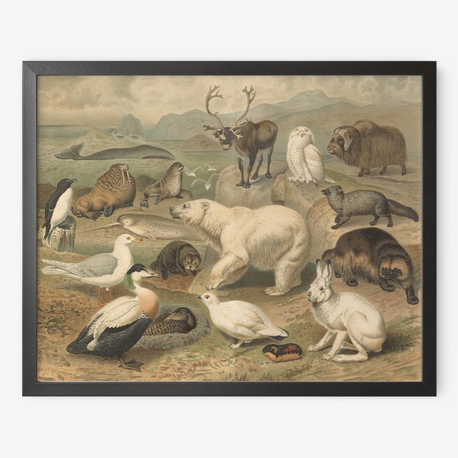 Polarbär und Arktische Tierfreunde Vintag Poster (Von Creator hochgeladen)