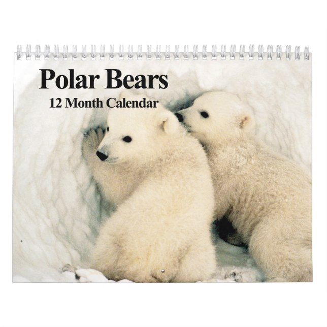Polarbären - 12-monatiger Kalender (Titelbild)
