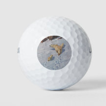 Polarbärenfamilie im arktischen Schnee