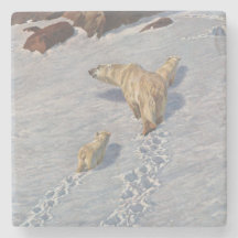Polarbärenfamilie im arktischen Schnee