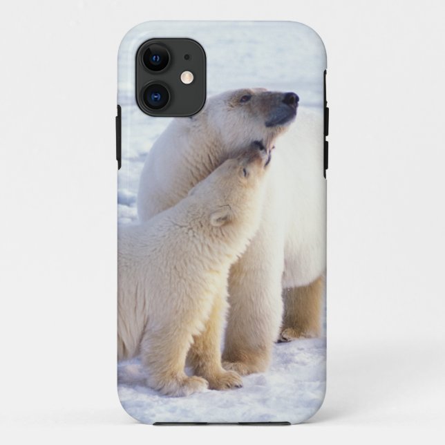 Polarbärsäte mit Krug, Packung Case-Mate iPhone Hülle (Rückseite)