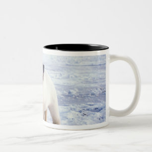 Polarbärsäte mit Krug, Packung Zweifarbige Tasse