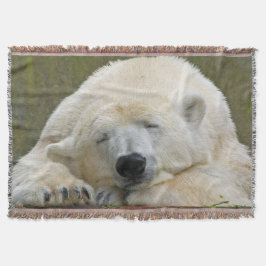 PolarBear20150501 Decke