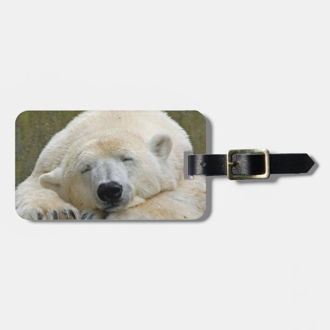 PolarBear20150501 Gepäckanhänger (Vorderseite horizontal)