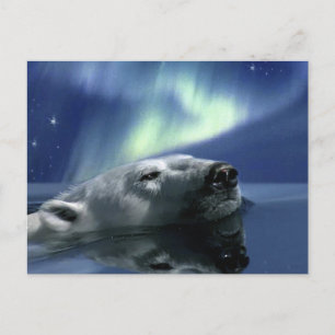 POLARBEAR Postkarte