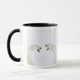 Polare Bären stehend auf Schnee nachdem dem Tasse