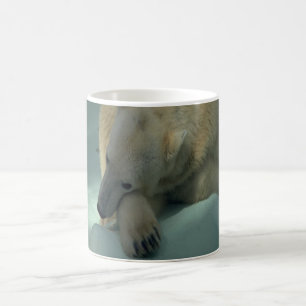 Polarer Bärn-Kaffee-Tasse Tasse