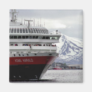 Polarer Cruiseship Magnet