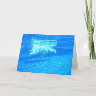 Polares Schwimmen Karte