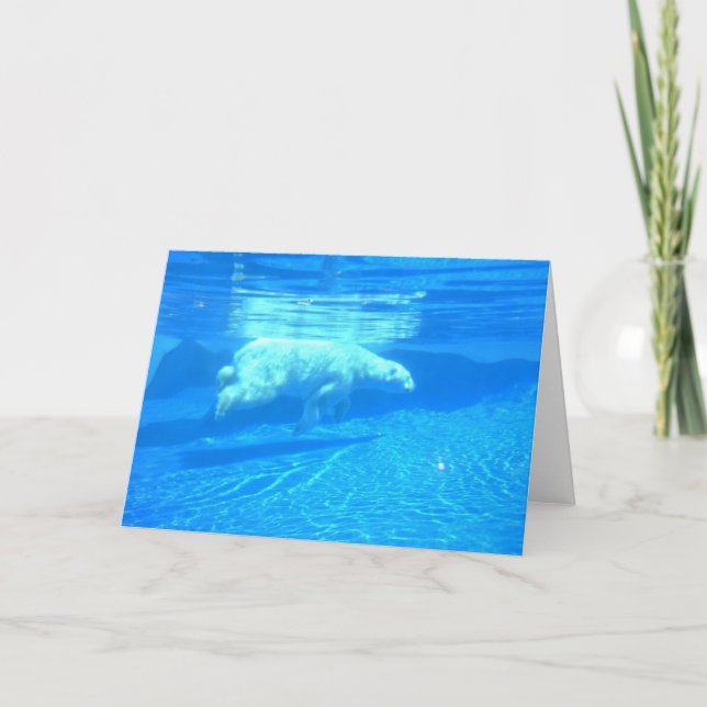 Polares Schwimmen Karte (Vorderseite)