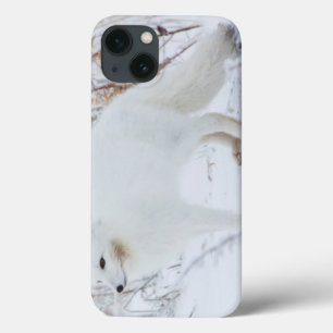 Polarfuchs Case-Mate iPhone Hülle
