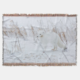 Polarfuchs Decke