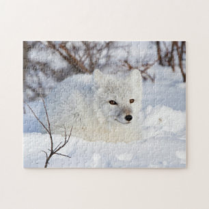 Polarfuchs im Winter Puzzle