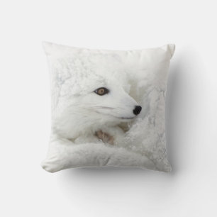Polarfuchs zusammengerollt im Winter Kissen