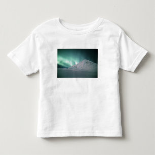 Polarlicht, nahe Palmer, 17./18. Januar Kleinkind T-shirt