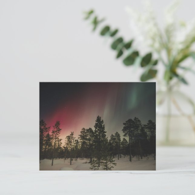 Polarlicht über verschneitem Wald  Postkarte (Stehend Vorderseite)