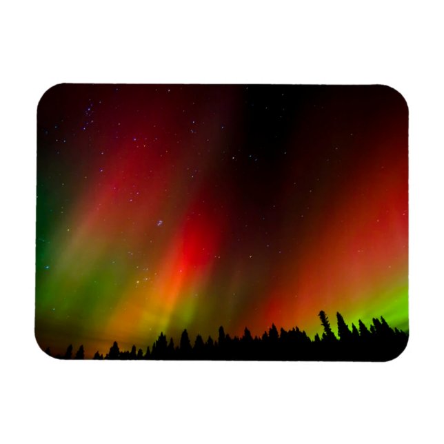 Polarlicht und Bäume Magnet (Horizontal)