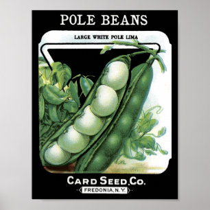 Pole-Bohnen-Samenkarte Packet Vintage Fredonia Poster