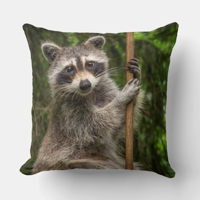 Pole Dancing Raccoon Kissen (Vorderseite)