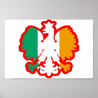POLEN/IRISH FLAG POSTER