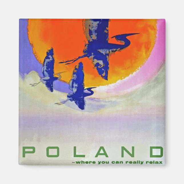 Polen Magnet (Vorne)