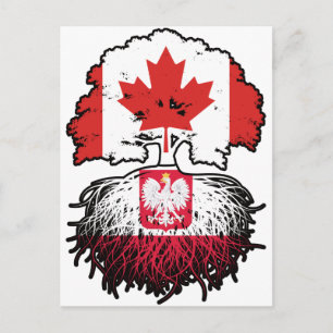 Polen Polnisch Kanadisch Kanada Baum Wurzeln Flagg Postkarte