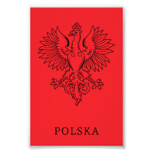 Polens Weißer Adler Zeitgenössisches Staatssymbol Fotodruck