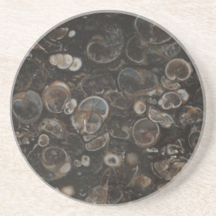 Polierter Rock Print (Turritella Agate) Untersetze Untersetzer