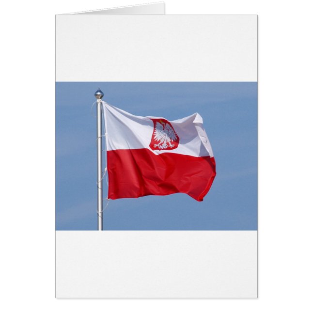 POLISH FLAG (Vorne)