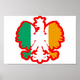 POLISH/IRISH FLAGGE POSTER