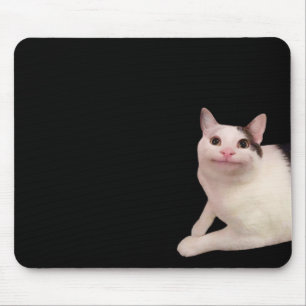 Polite Cat Meme Mouse Pad Mousepad