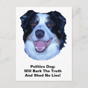 Politik grenzt Collie an die Wahrheit Postkarte
