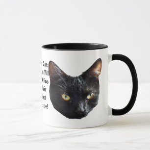 Politische Katzenkatze ohne Ratten wird im Amt sei Tasse