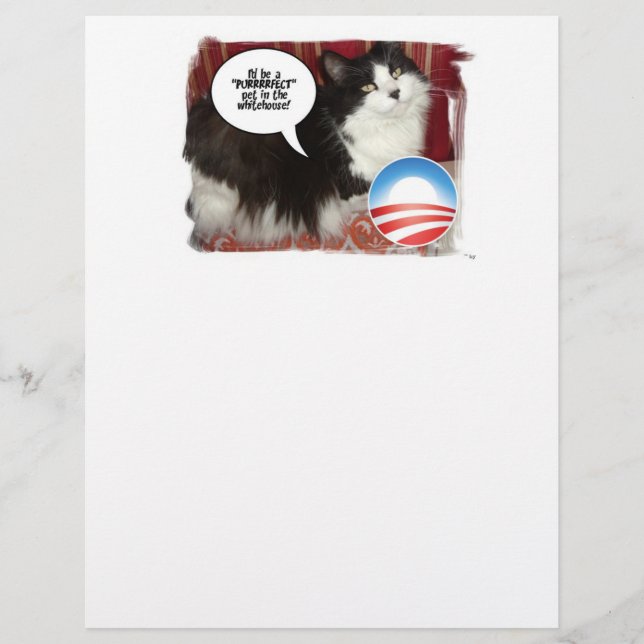 Politischer Cat-Spaß (Vorderseite)